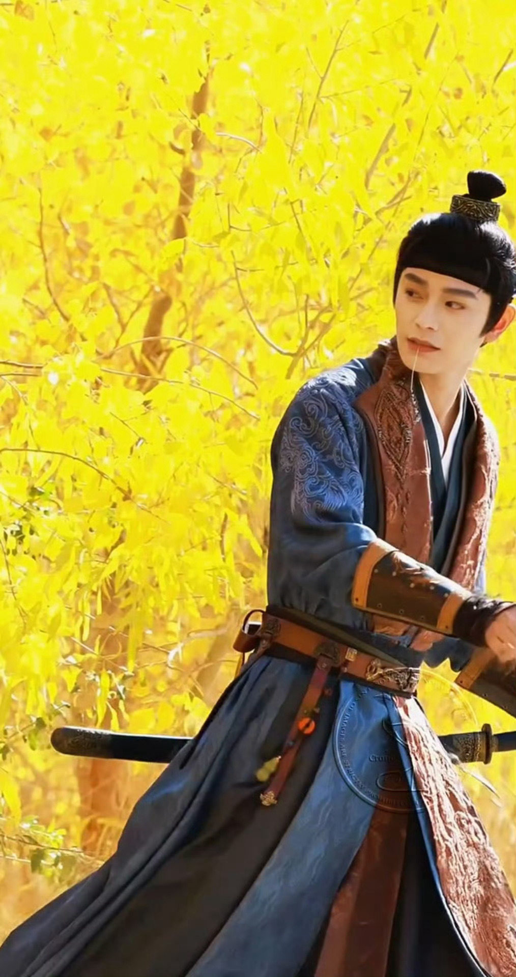 丁禹兮花开锦绣，实景也太美了 ​​​