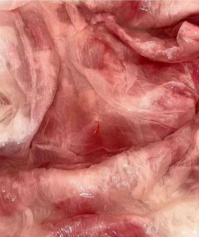 一个孤僻的月经冷知识 