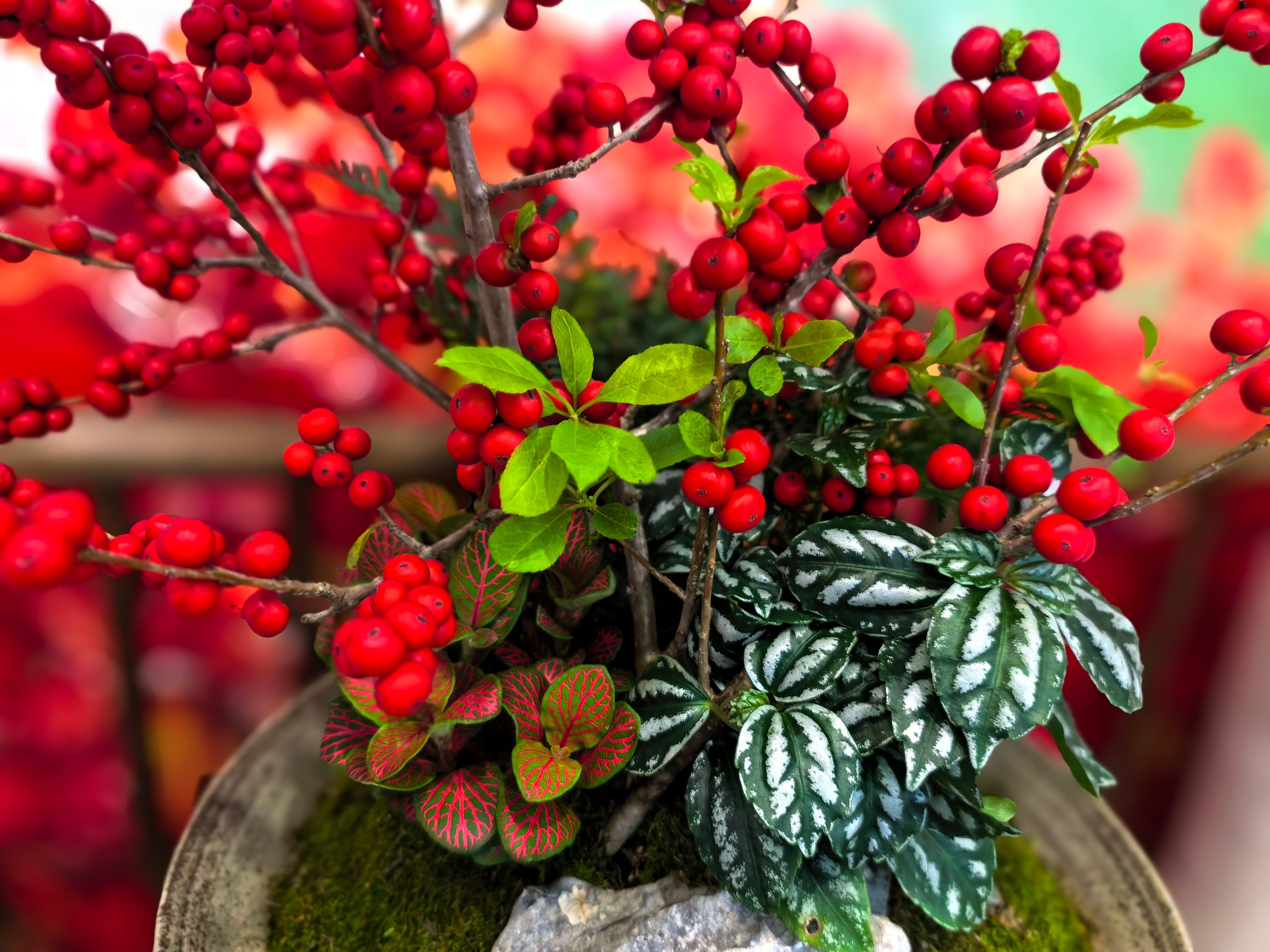 闲话投资1189孙子曰；故善战者致人而不致于人。个人随笔：1. 孙子强调：善战者