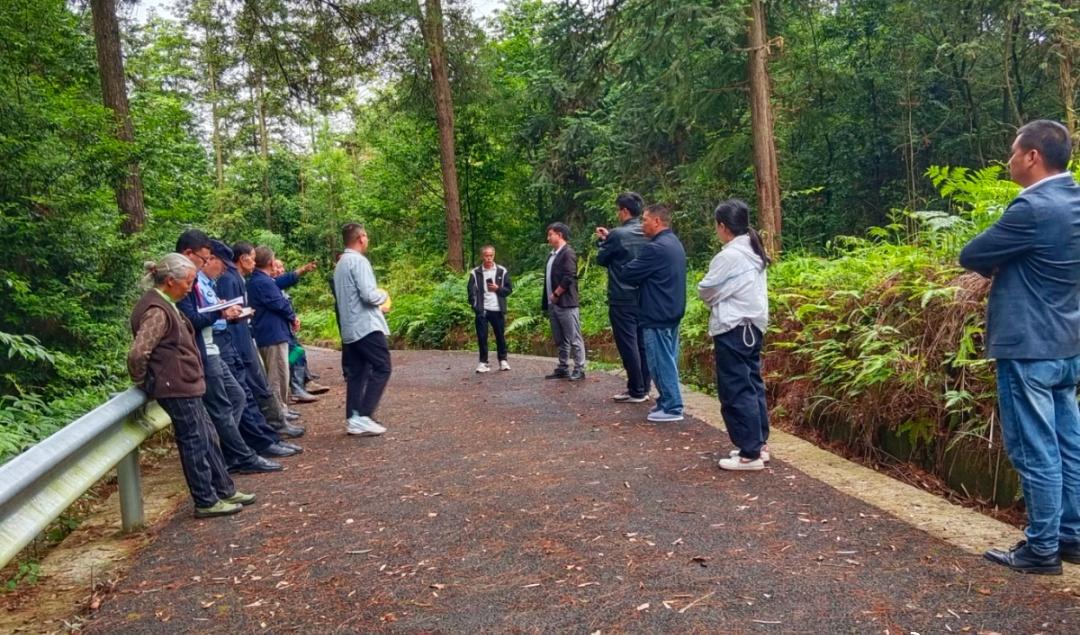 【央媒市媒看綦江 | 以“一案之解”促“一方之安”】7月14日，新重庆-重庆日报