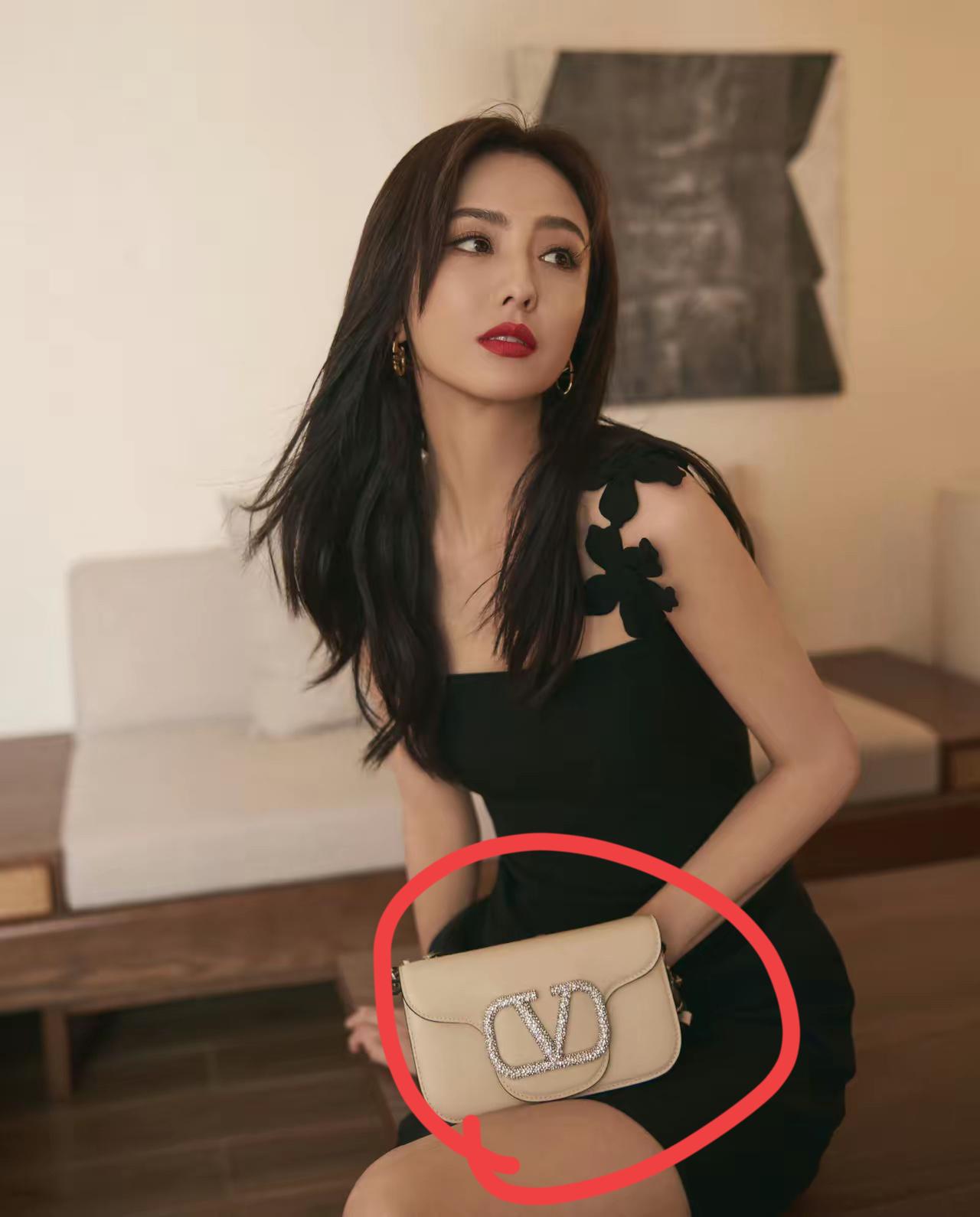 佟丽娅这个包是什么牌子的？看上去非常高端