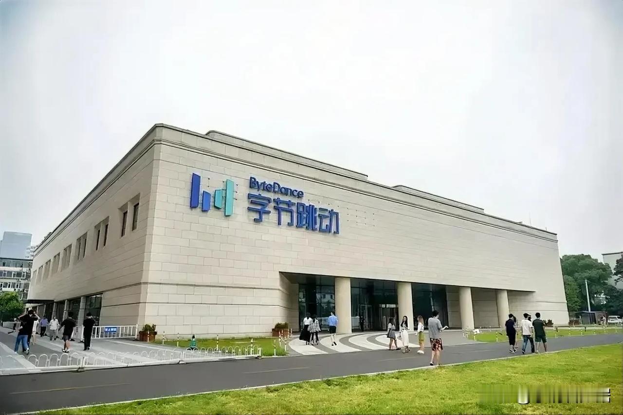 中国十大软件：安装次数（华为应用市场）
1.抖音：571亿（不含极速版）
2.拼