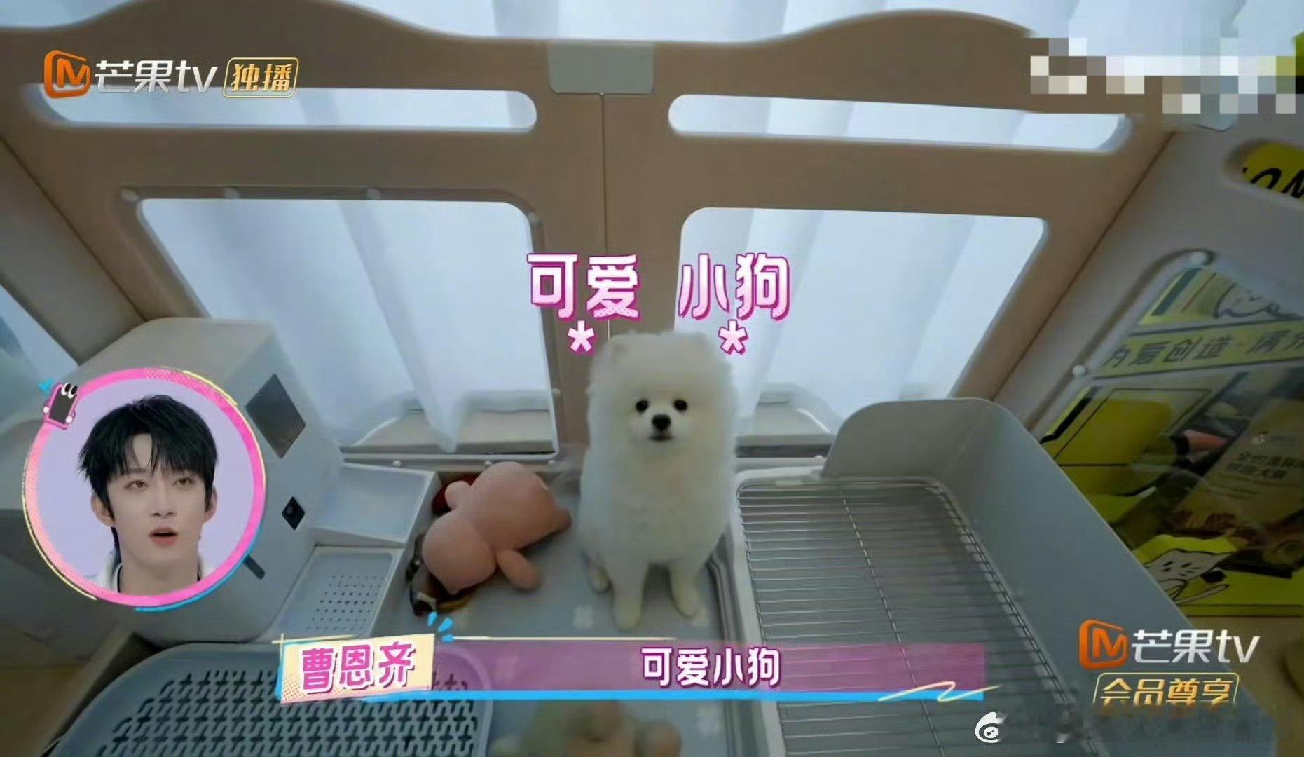 苏晓彤家里有一柜子辣条 苏晓彤的辣条柜才是《我家那闺女》的隐藏亮点吧！满满一柜没