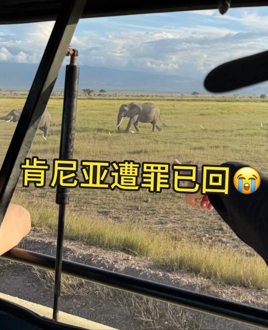 肯尼亚已回（已被宰）内容很脏，很真..