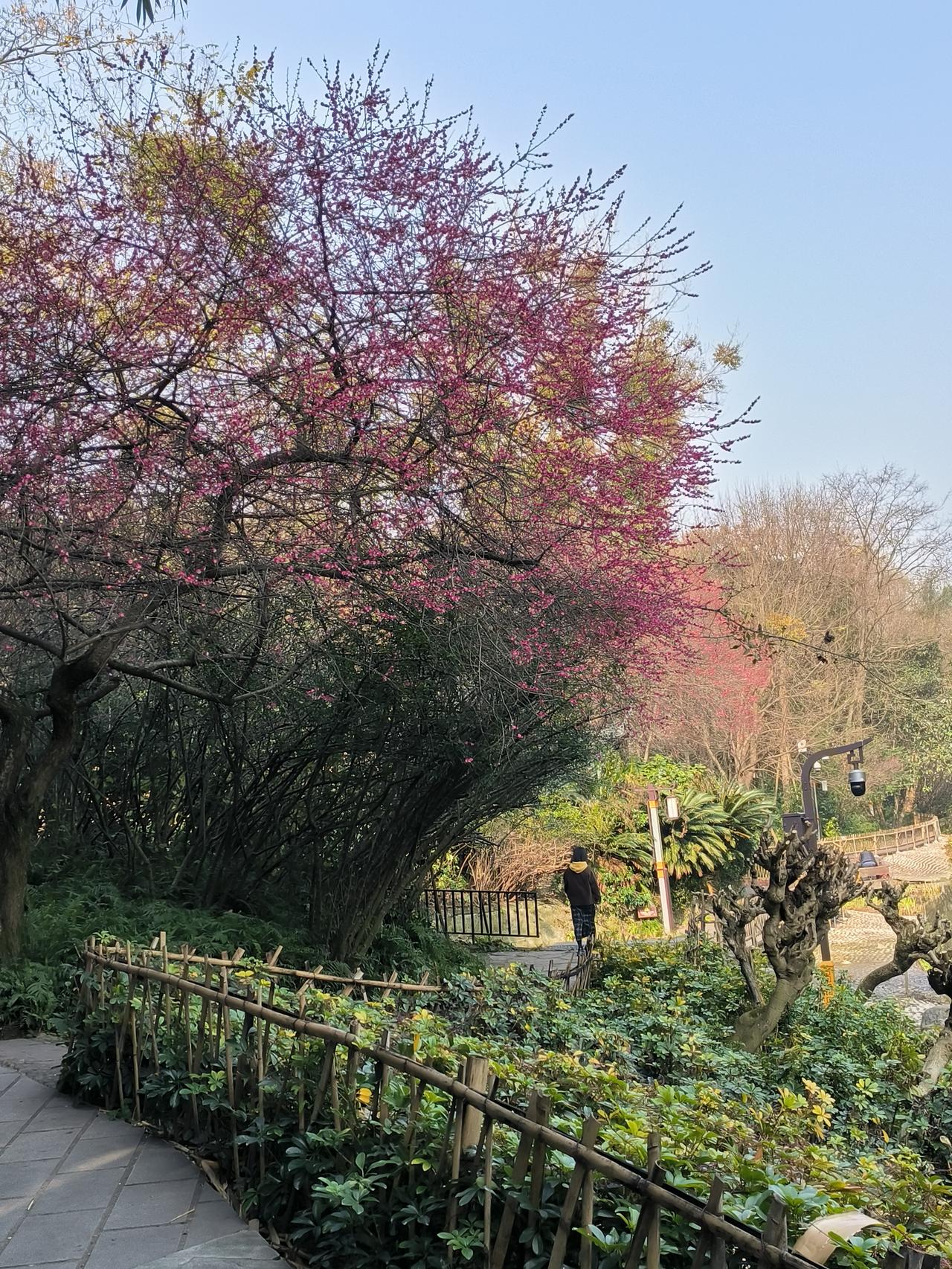 表妹该不该辞职？37岁仓库文员，要放弃五险一金工作，全职照顾骨折婆婆吗？
 
我