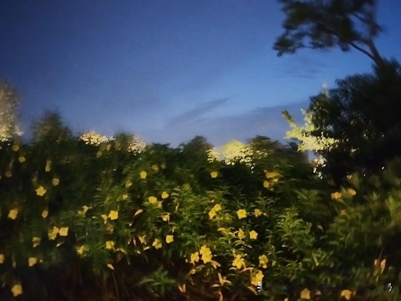 我的今日状态：🏃‍➡️运动
我这里的天气：☀️晴天
晨曦之美让人身心舒畅，运动