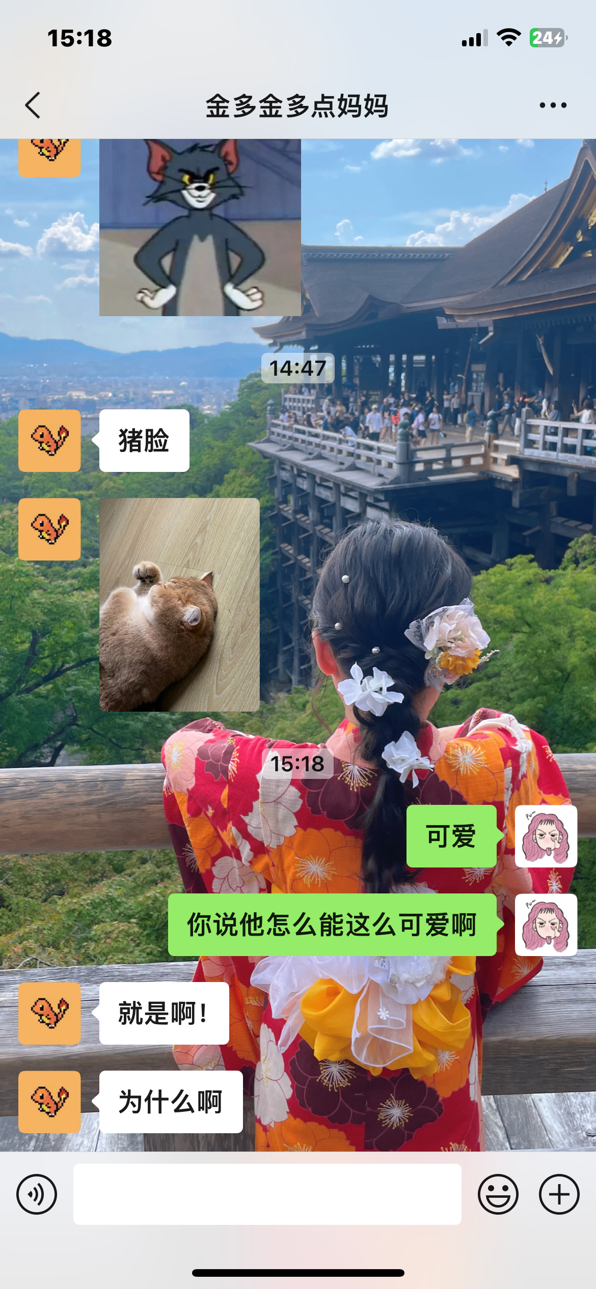 怎么会有睡觉侧面都这么可爱的猫猫啊#辣椒家新家回访##金渐层##英国短毛猫# ​