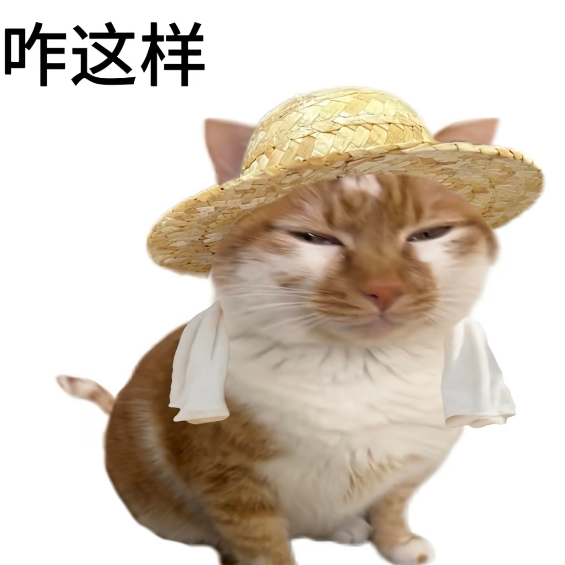 没招了  世界对我好一点好不好 