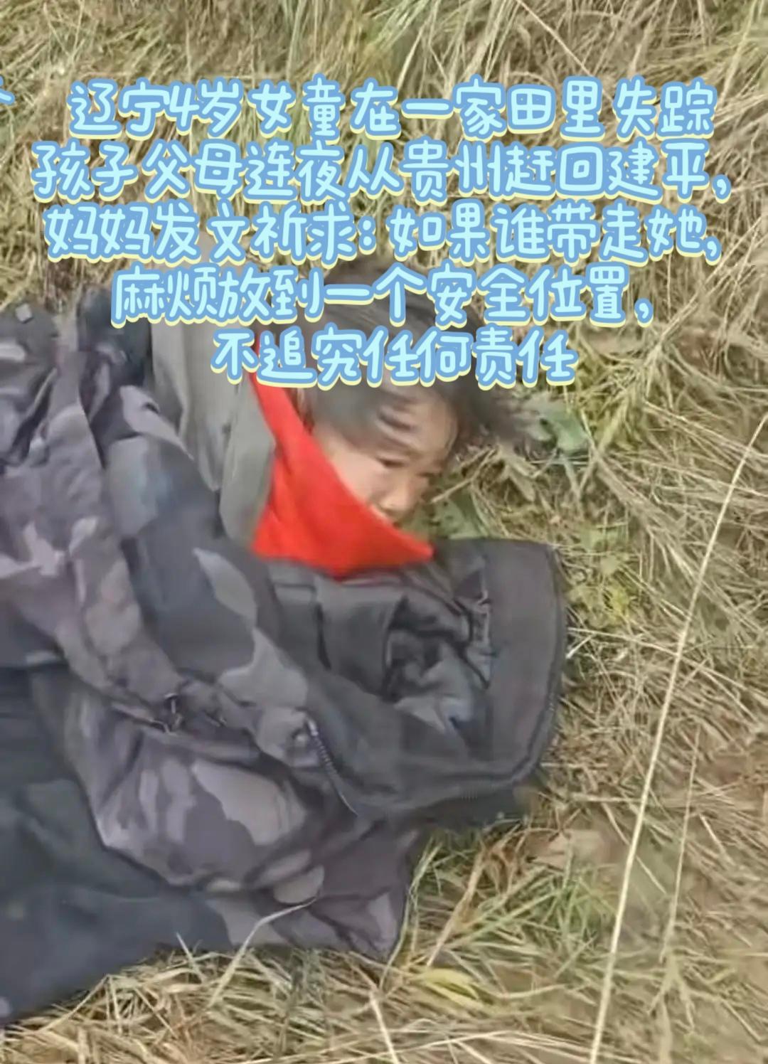 辽宁四岁孩子在一家地里失踪，当地开始地毯式搜索，功夫不负有心人，孩子终于找到，可