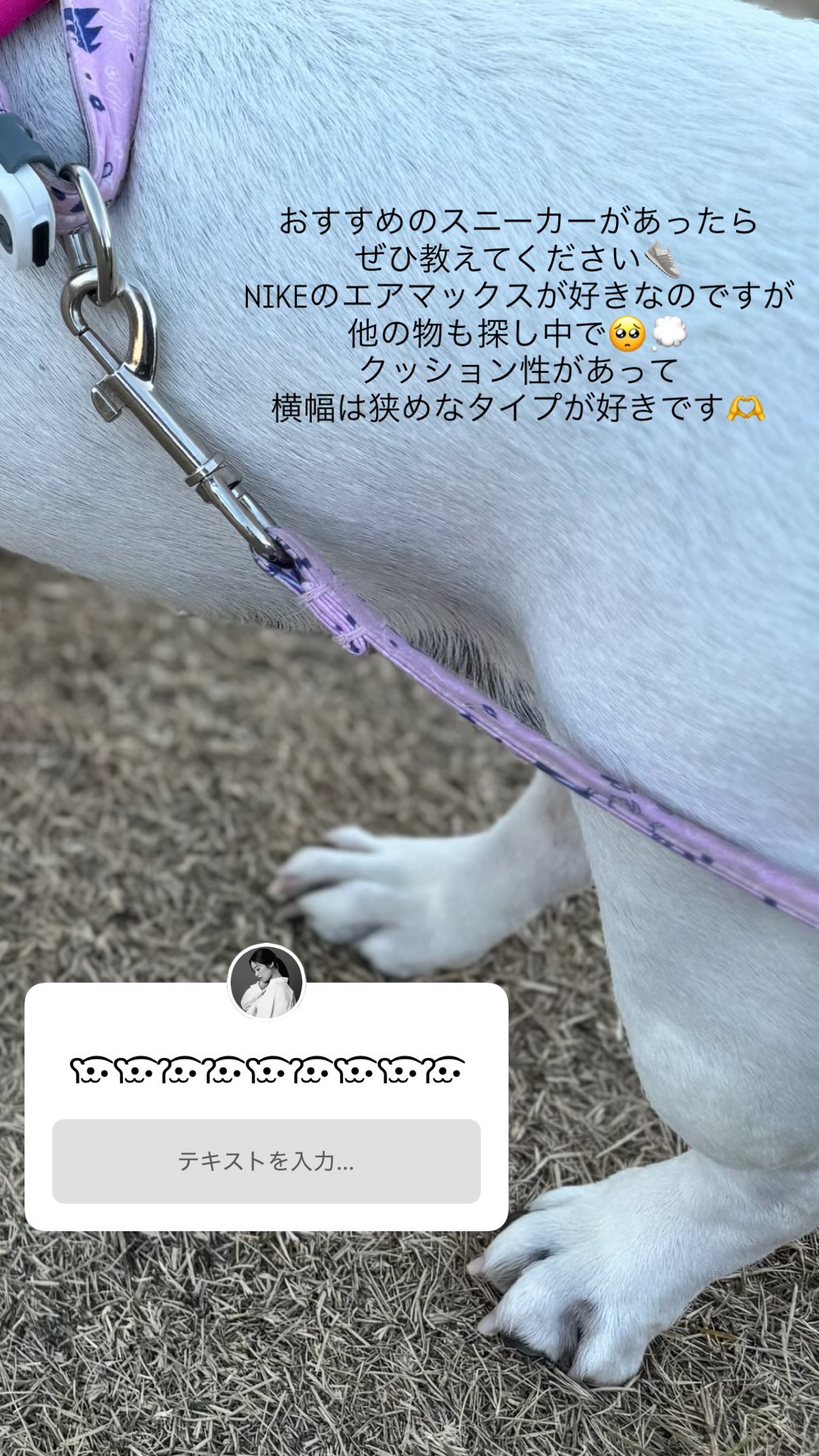 齋藤冬優花　　fuustagram