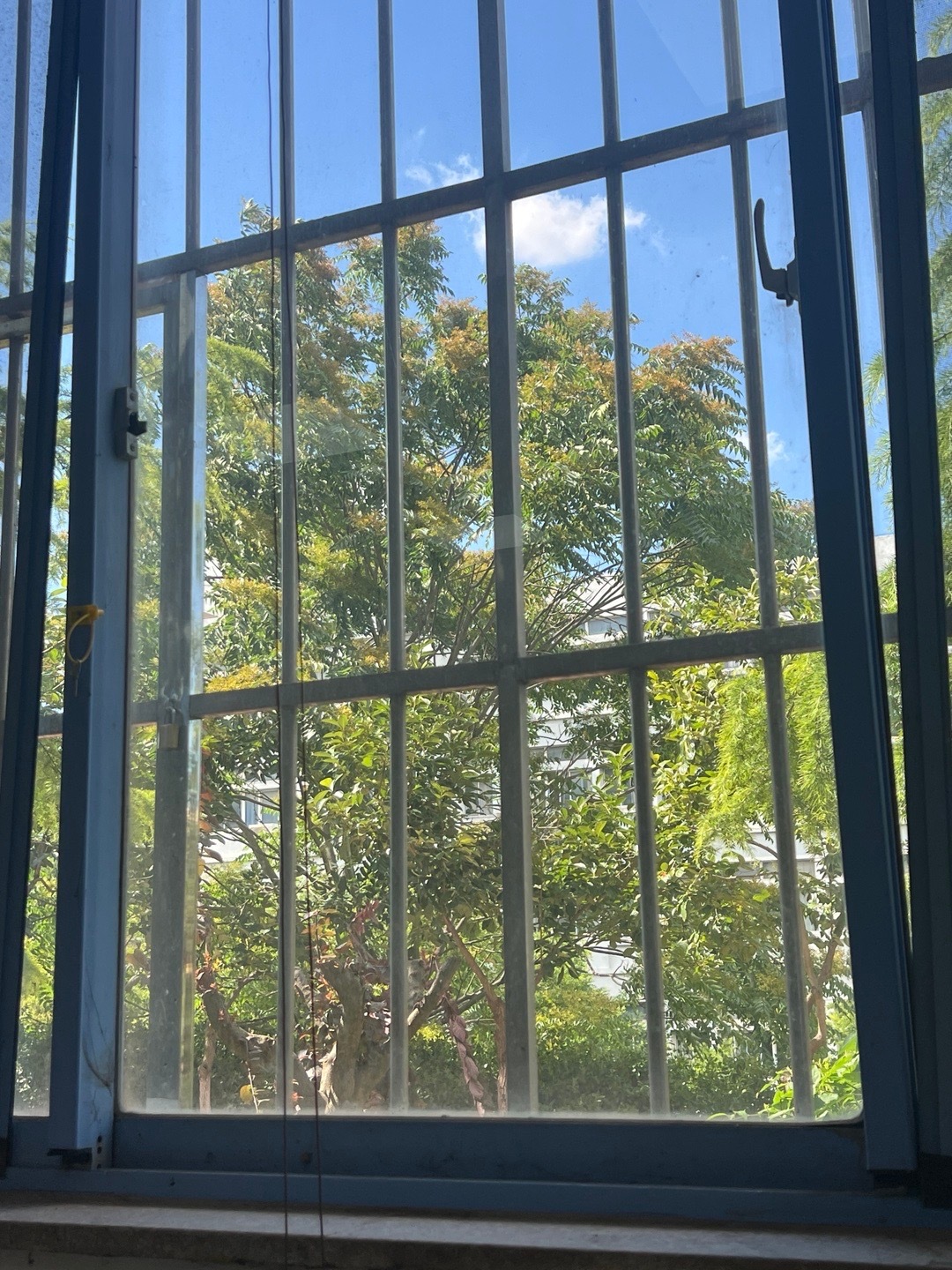 今天听课 竟然有孩子问我 是不是大学的时候很快乐很成功 才会选择回到校园我都不好
