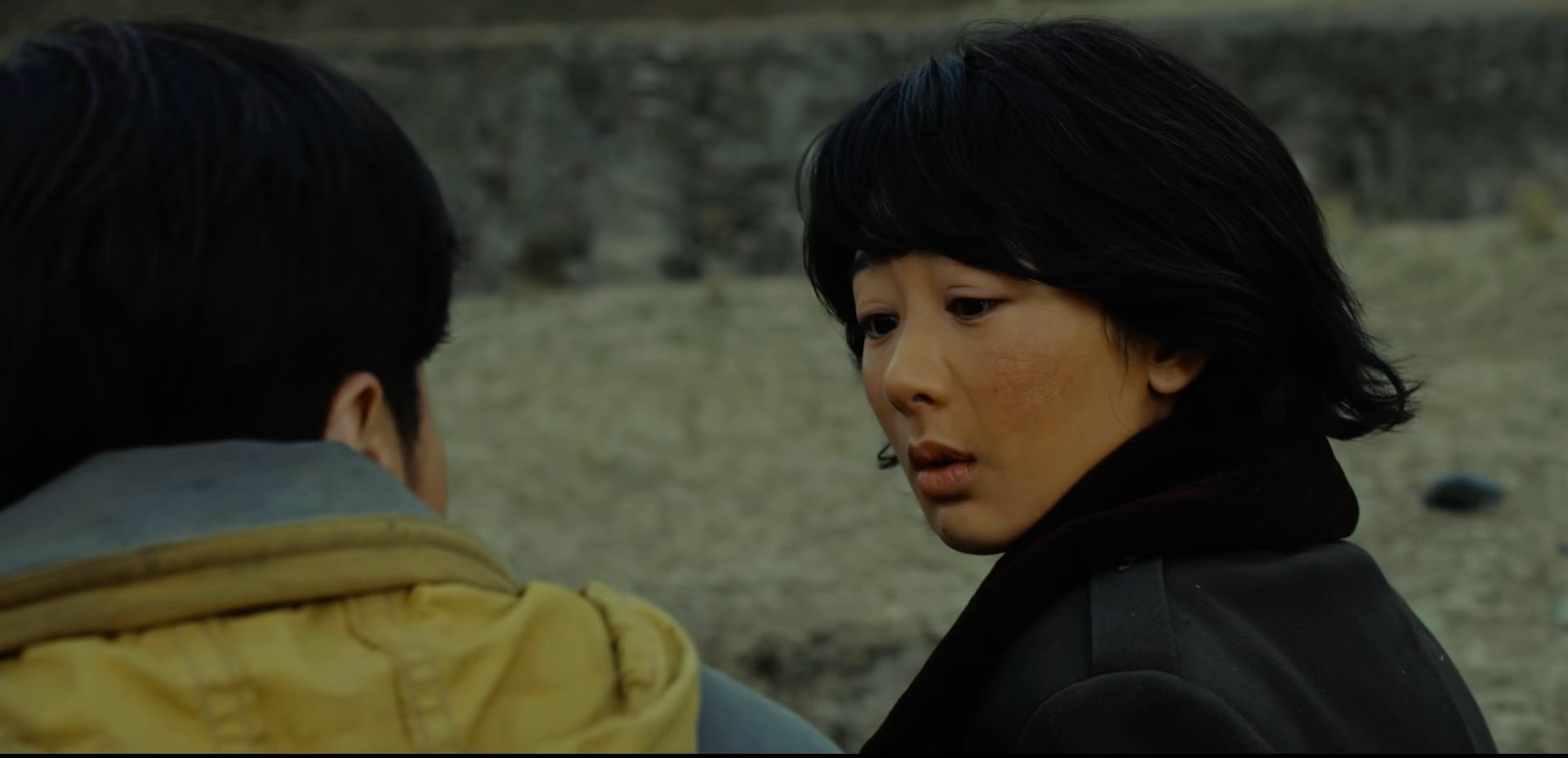 白菊结巴这段看得我狂笑太可爱了生命树