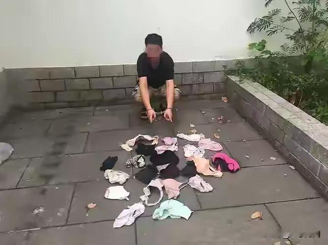 这些男的偷女人的贴身衣物，“它”不会去买吗？也不是很贵。真的是一种病，得“冶”！