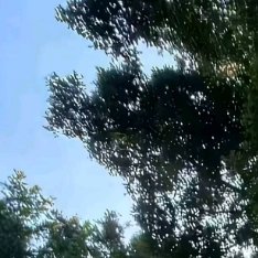 阳光信用 阳光信用 每日一善 真正决定一个人成就的也不是运气，而是严格的自律和高