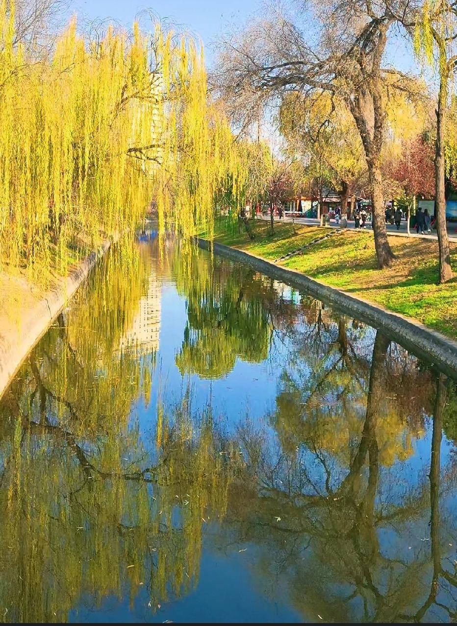 新乡市人民公园里，初冬季节，风景如画，一派祥和，感恩今生入华夏。