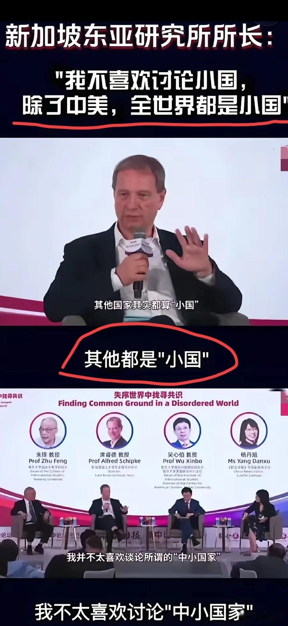 美国教授在新加坡论坛上竟口出狂言，
声称: 除中美外全世界都是小国，
还直言没兴