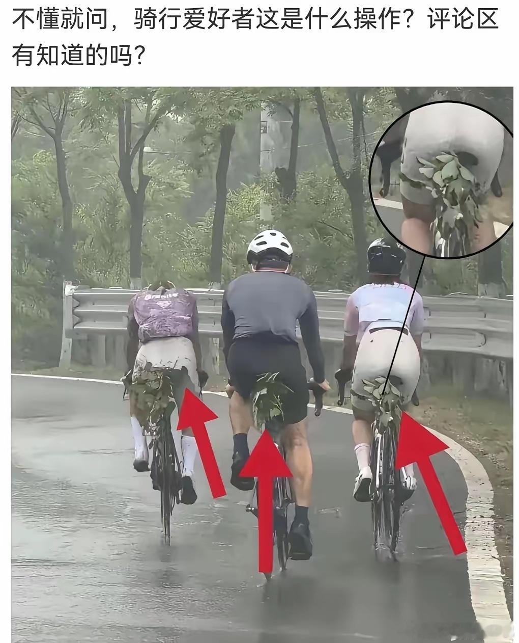 这是防止后轮泥巴甩起来 