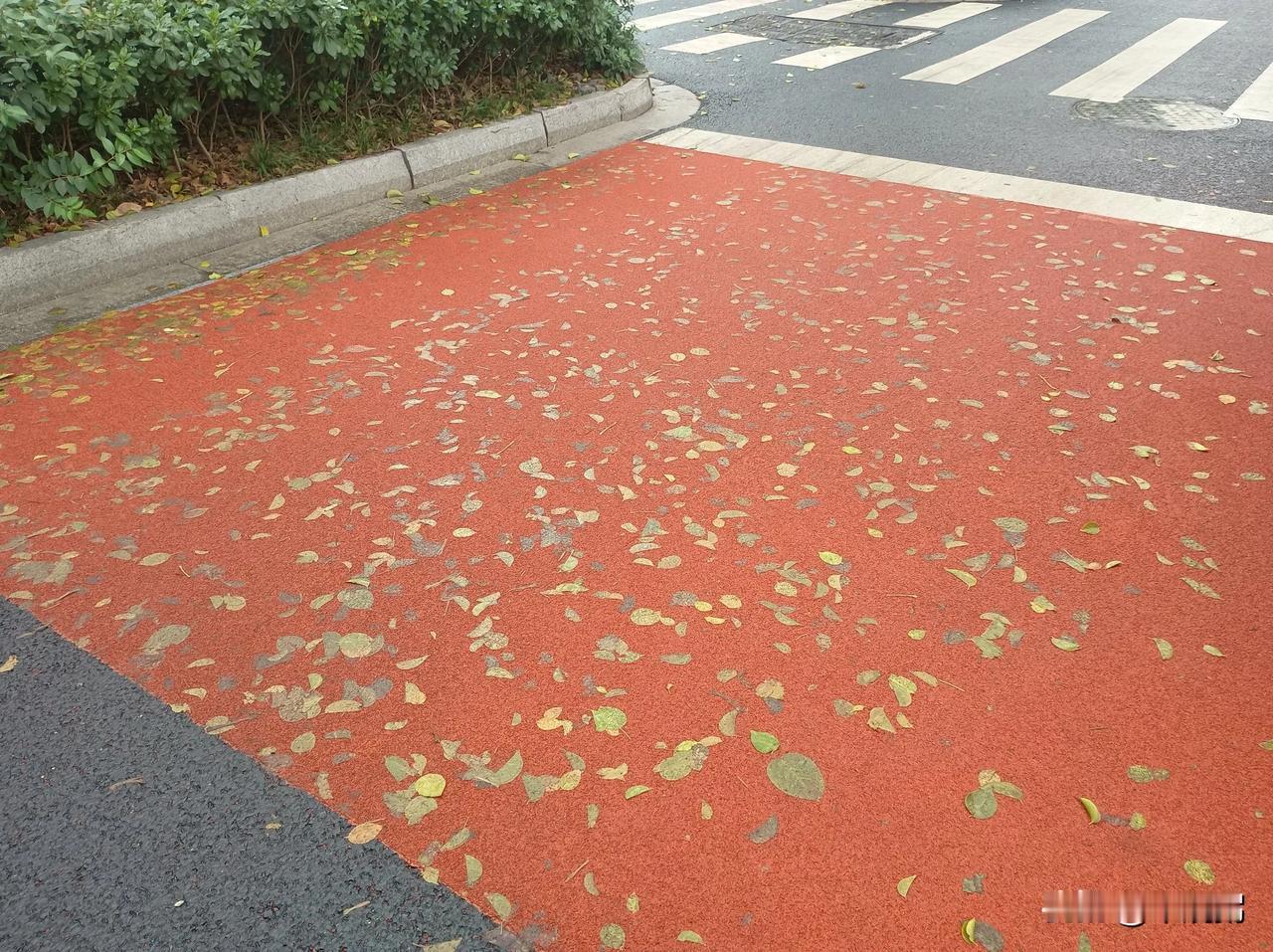 苏州道前街银杏叶的观赏期已过，跨年也已结束，马年即将来临，可别出什么岔子。这个“