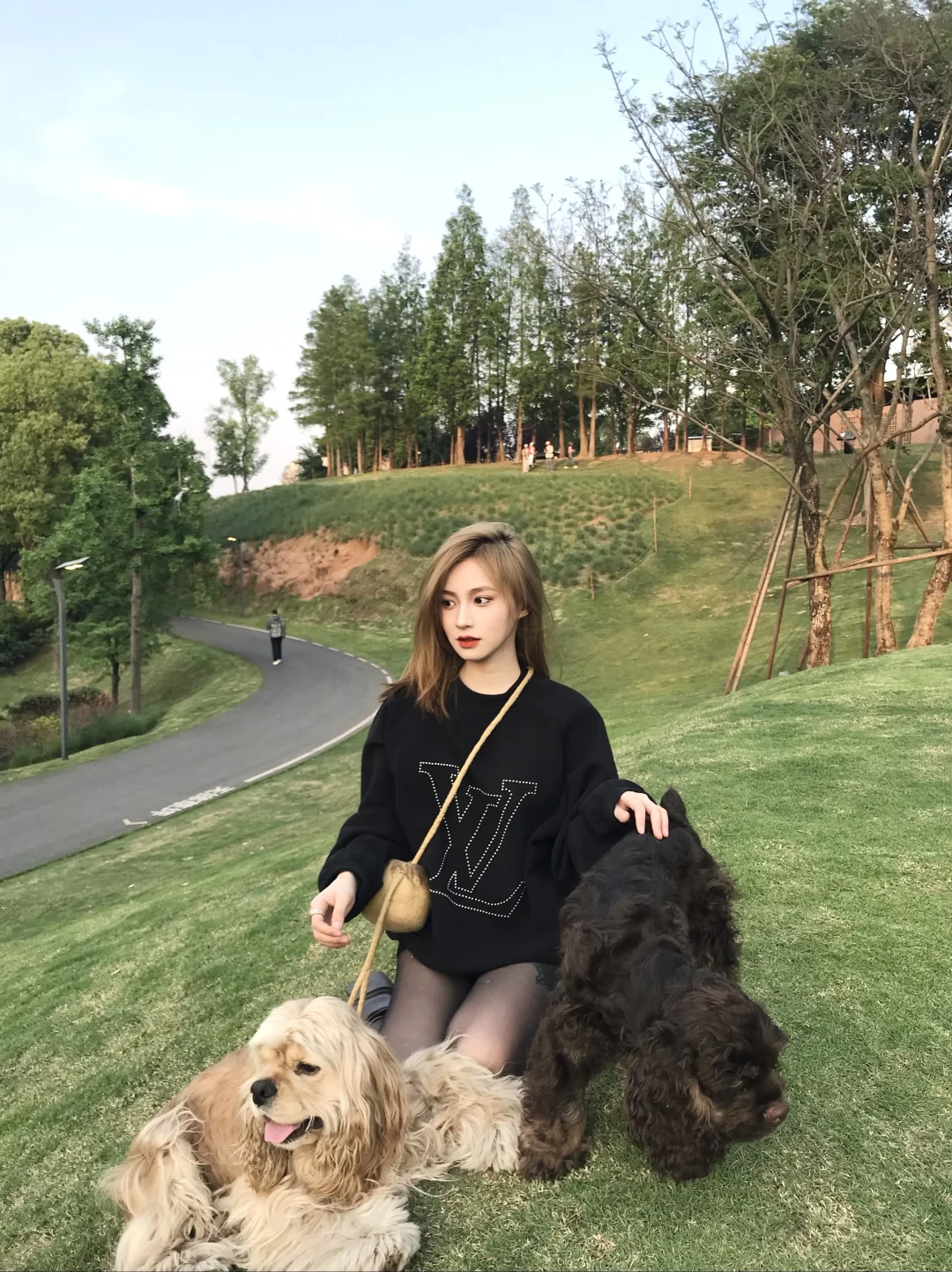 小狗🐶草坪🌳阳光☀️