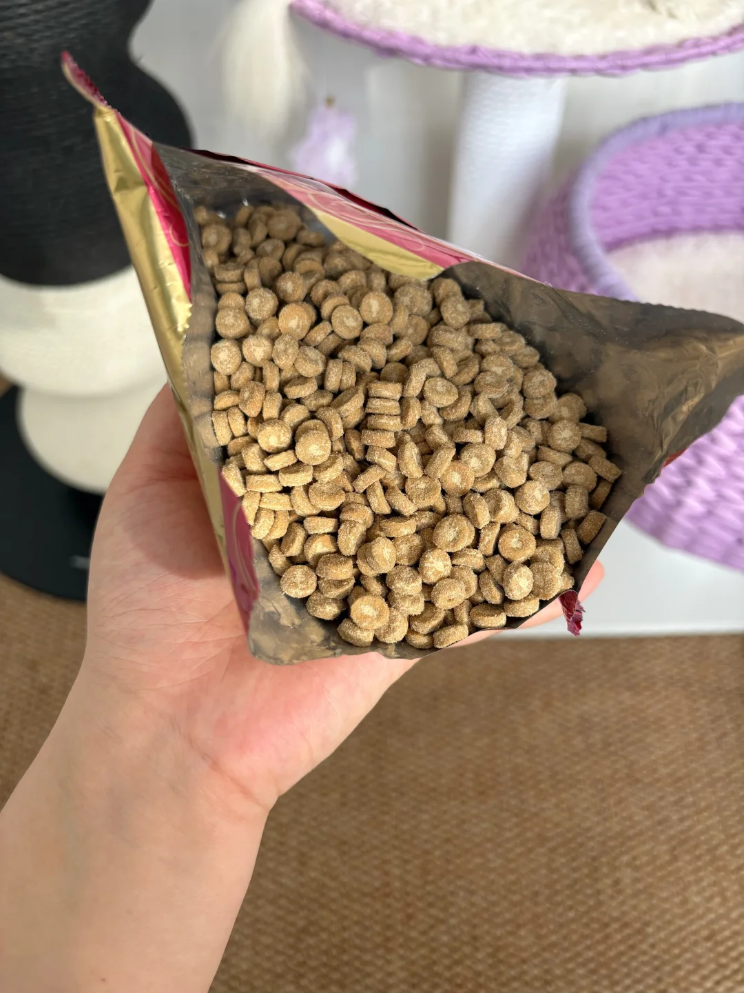 中间是纯牛奶啊，猫饭量变大是正常的吧？