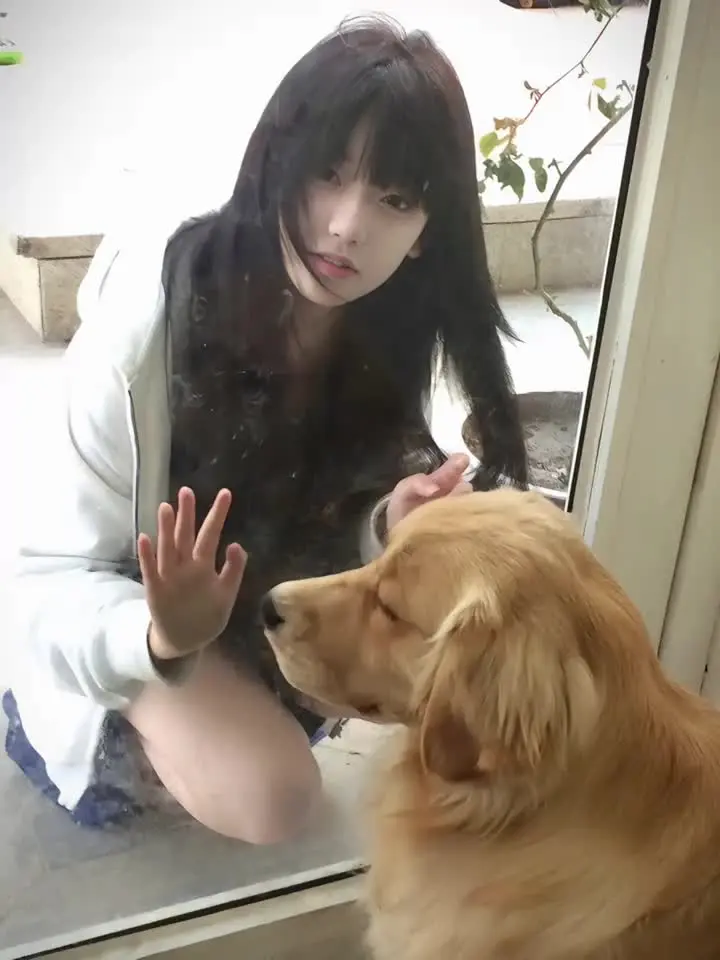 时间拦不住的 就好像我早知道你会走