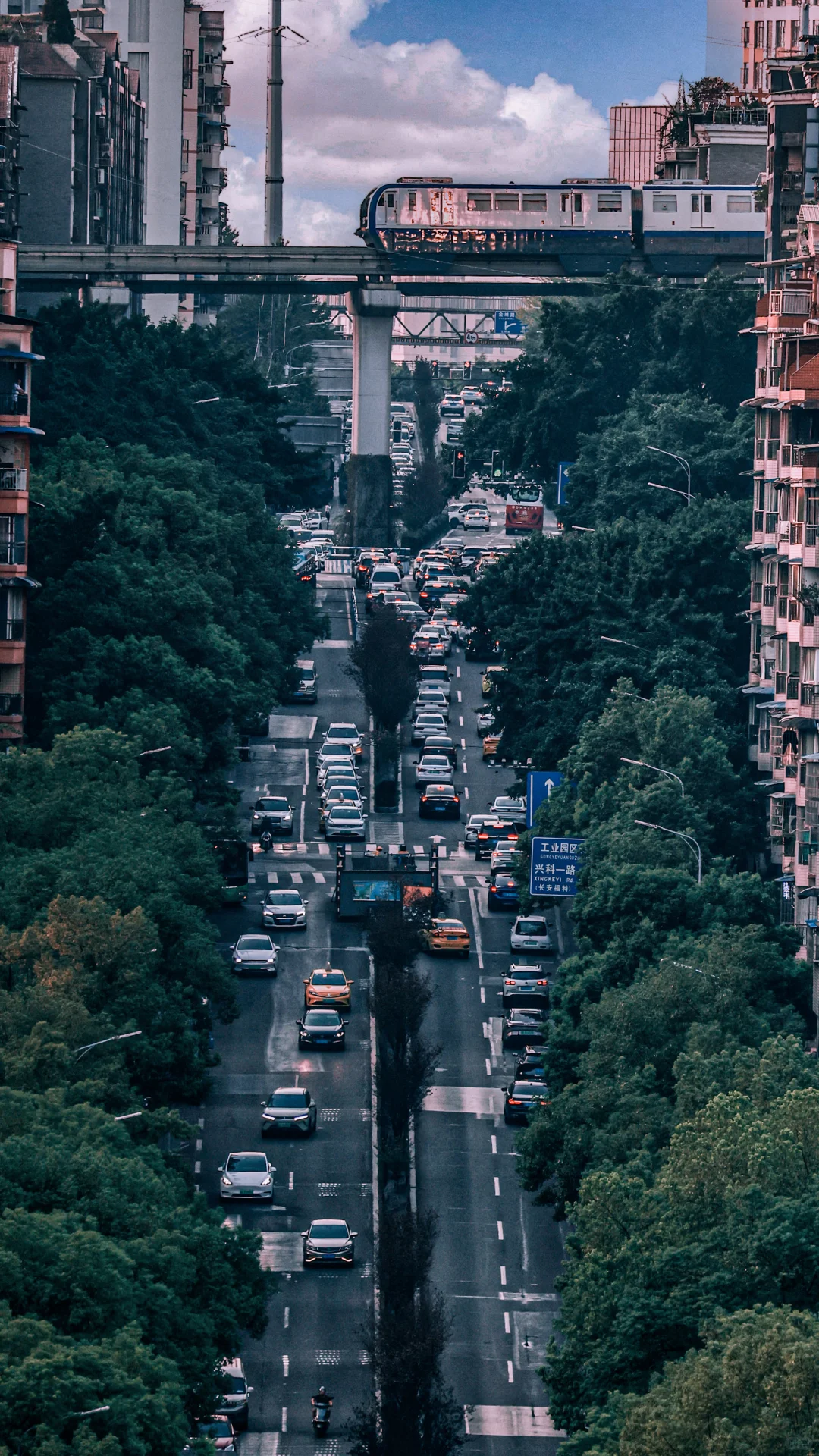 重庆的8D让人惊叹🌈❤️