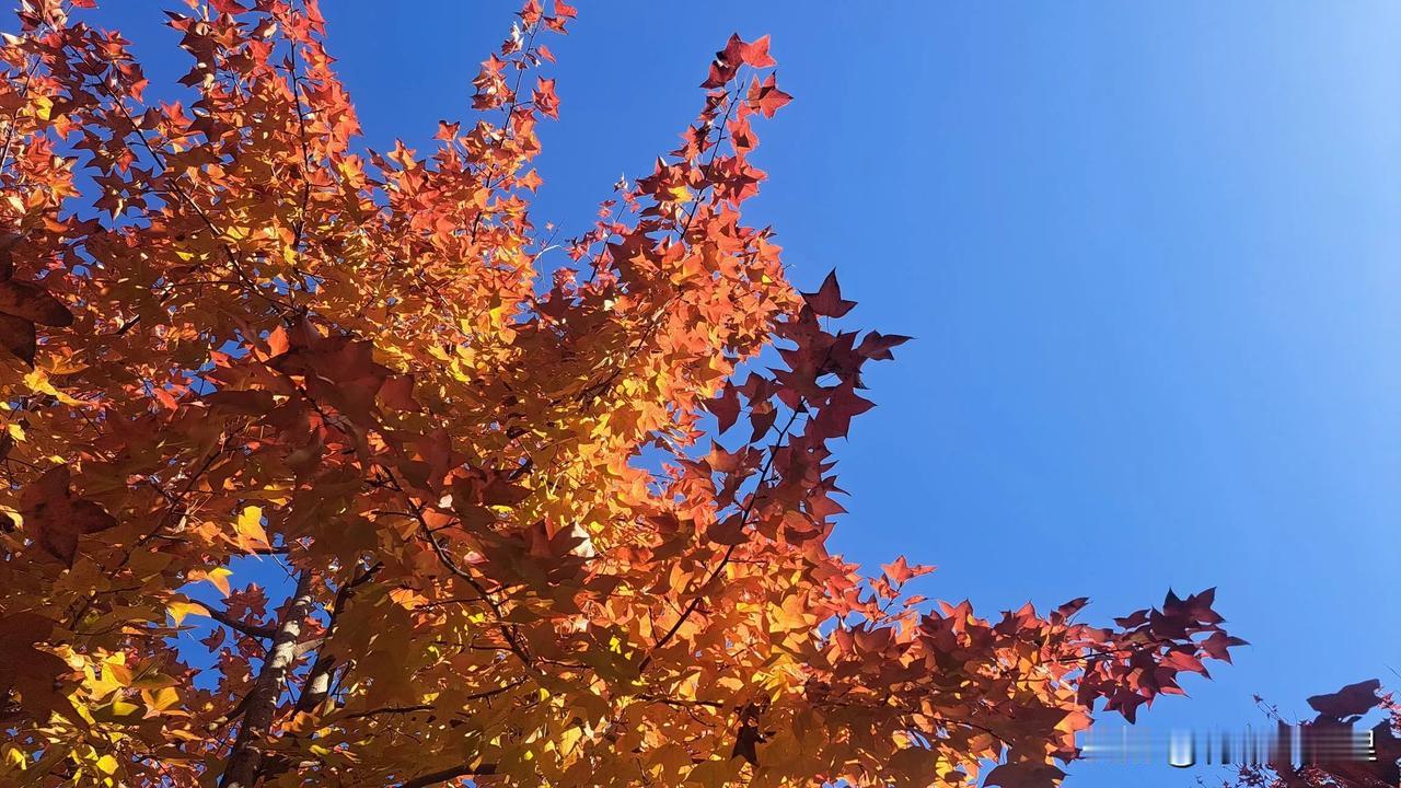 乐趣是一种感受，是因人因时而异的。就比如说最日常的家务打扫，有的人会体验到收拾停