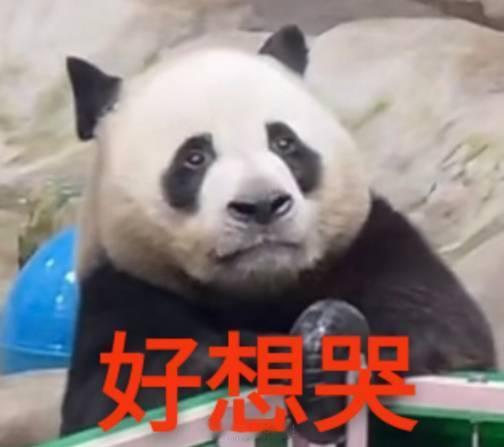 聊天必备表情包第689弹黑白小丸子 ​​​（拿图吱声） ​​​