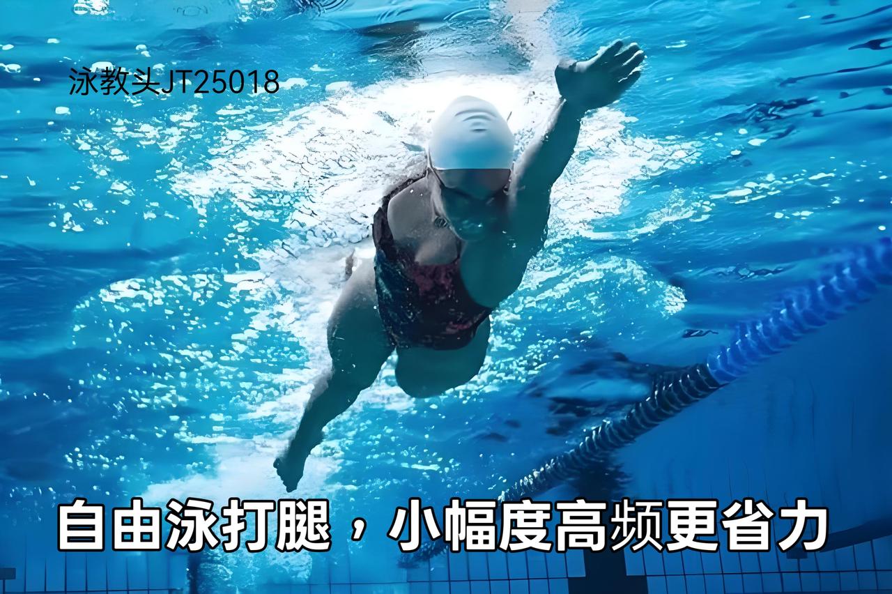 泳教头｜泳讲堂：自由泳打腿，小幅度高频更省力
 
很多人学自由泳，都觉得打腿是最