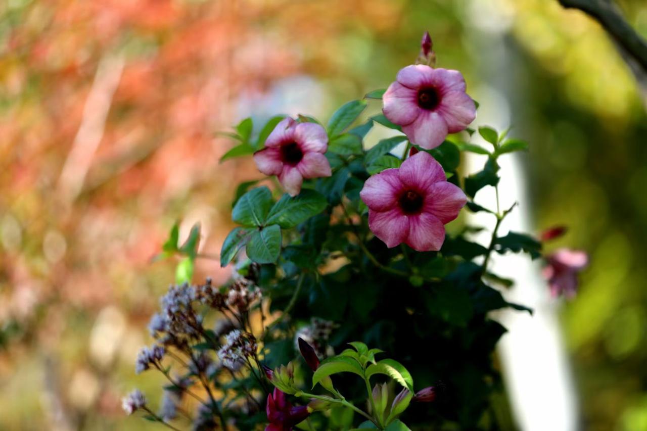 一天天变老本是生命的自然轨迹，
不必焦虑。
我们能做的，
是在往后的日子里守住生