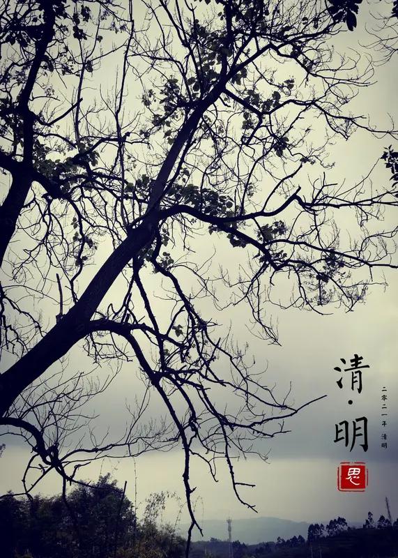 清明时节湿重风多易生病，这份“祛湿防风”指南请收好

清明一到，气温回升，雨水也