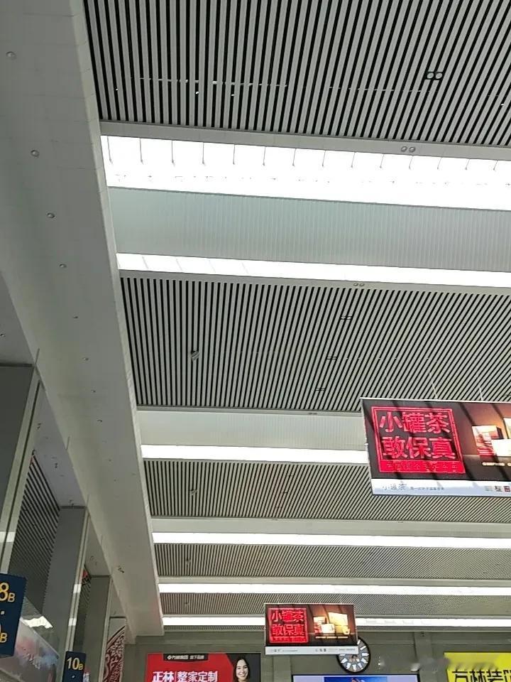 春日美景大赏
