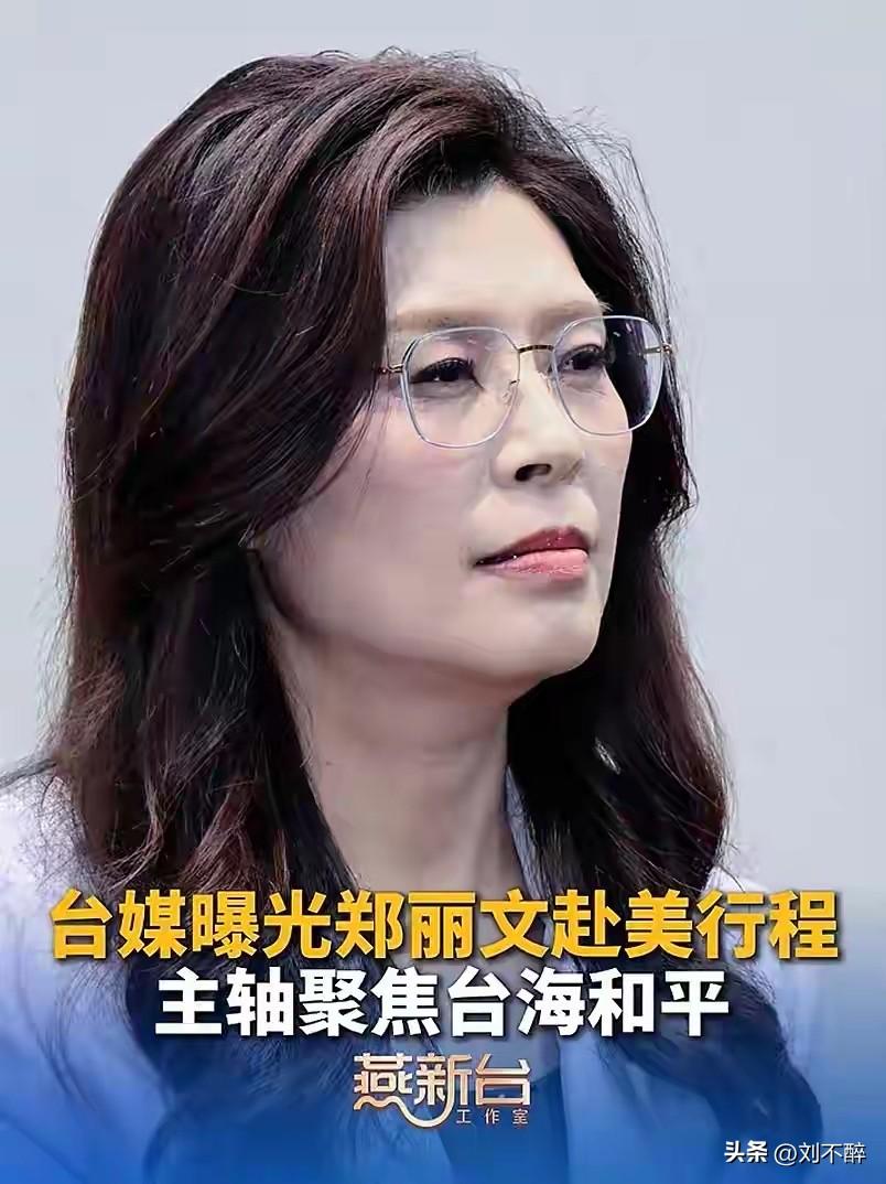 郑丽文访美行程曝光！
华盛顿、纽约、波士顿、洛杉矶、旧金山……
此次访美的核心目