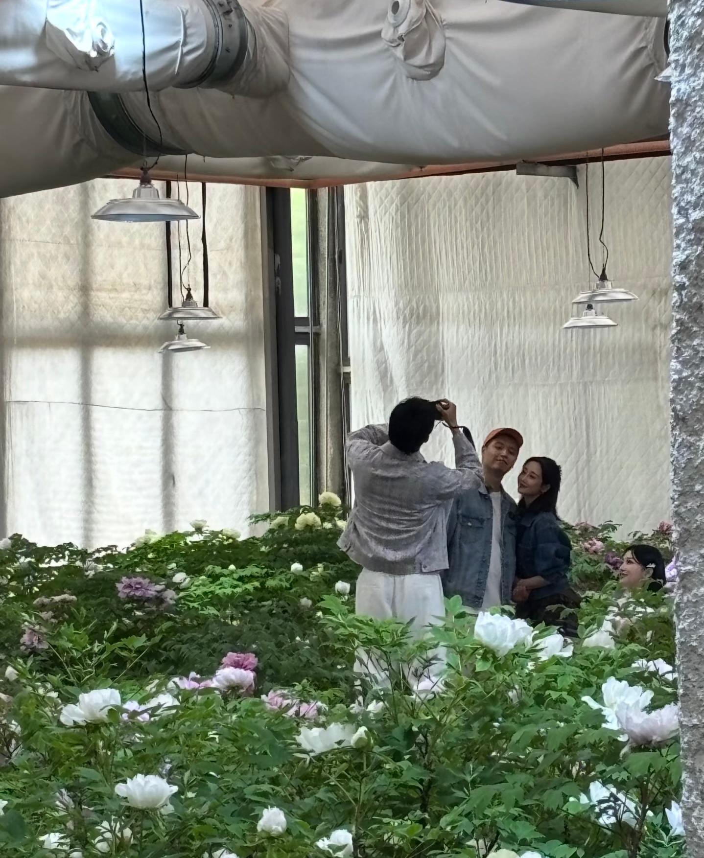 金莎腿怎么了网友偶遇金莎坐着轮椅 我天，金莎腿怎么了，网友偶遇《妻子的浪漫旅行》