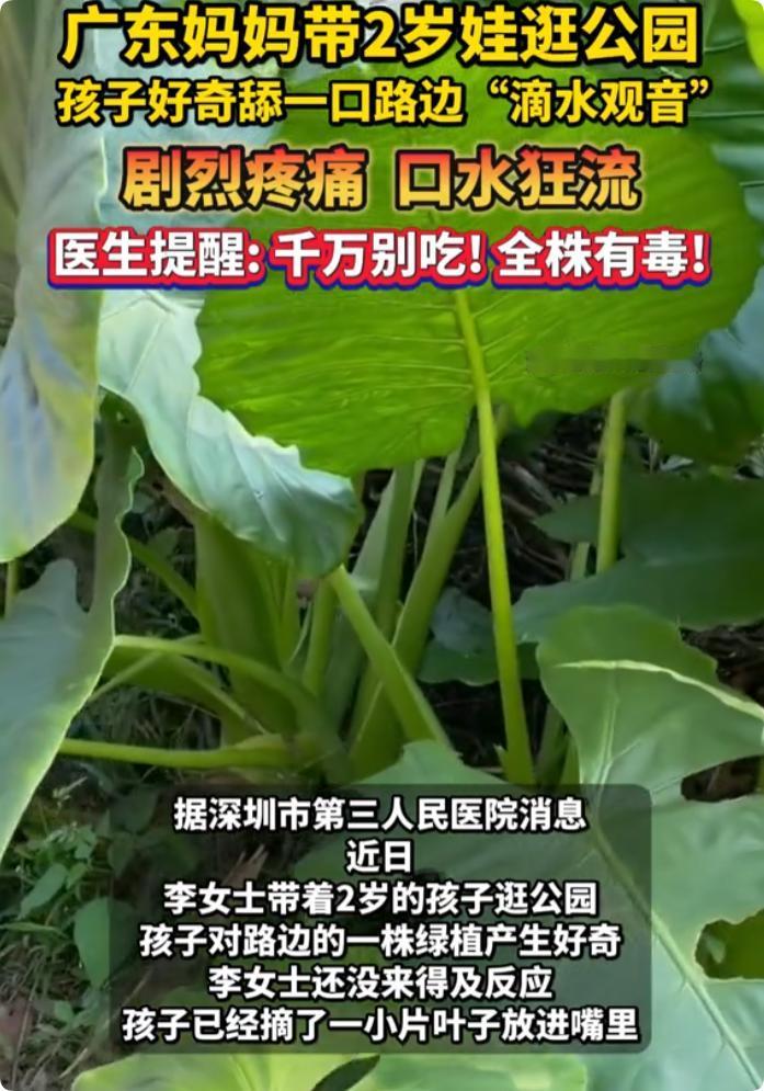 “悲剧还是发生了！”5月30日报道，广东深圳，一2岁宝宝在公园玩耍时，妈妈一个没