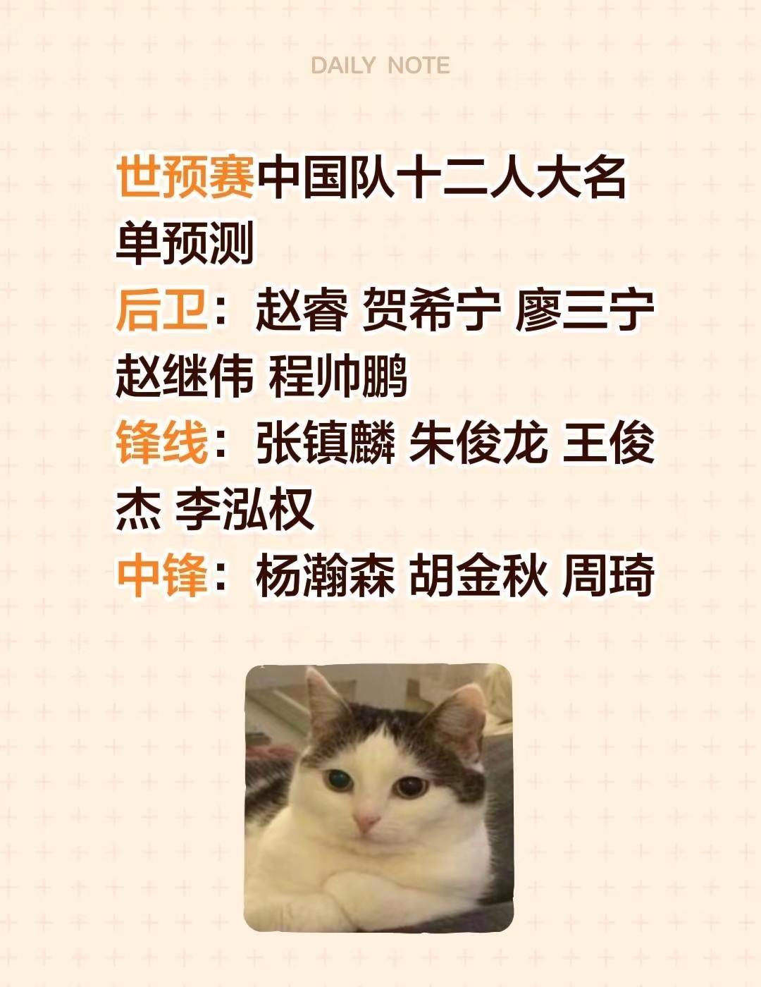 我觉得百分百这十二个人。世预赛中国队十二人大名单预测后卫：赵睿 贺希宁 廖三宁 