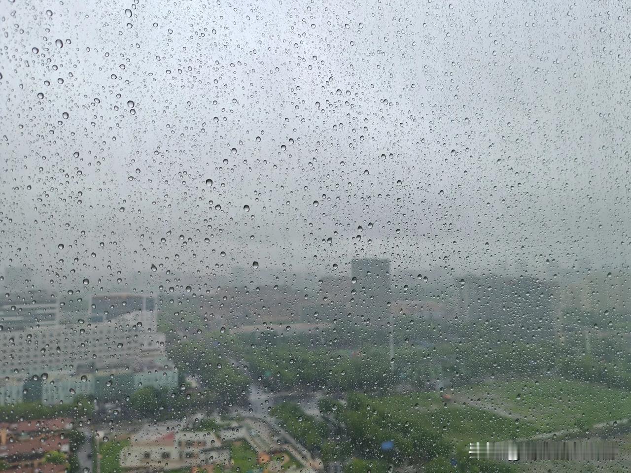 台风来了，中奖啦，航班取消啦！[捂脸]
魔都今天狂风大作，雨倒不大，查东方航空今