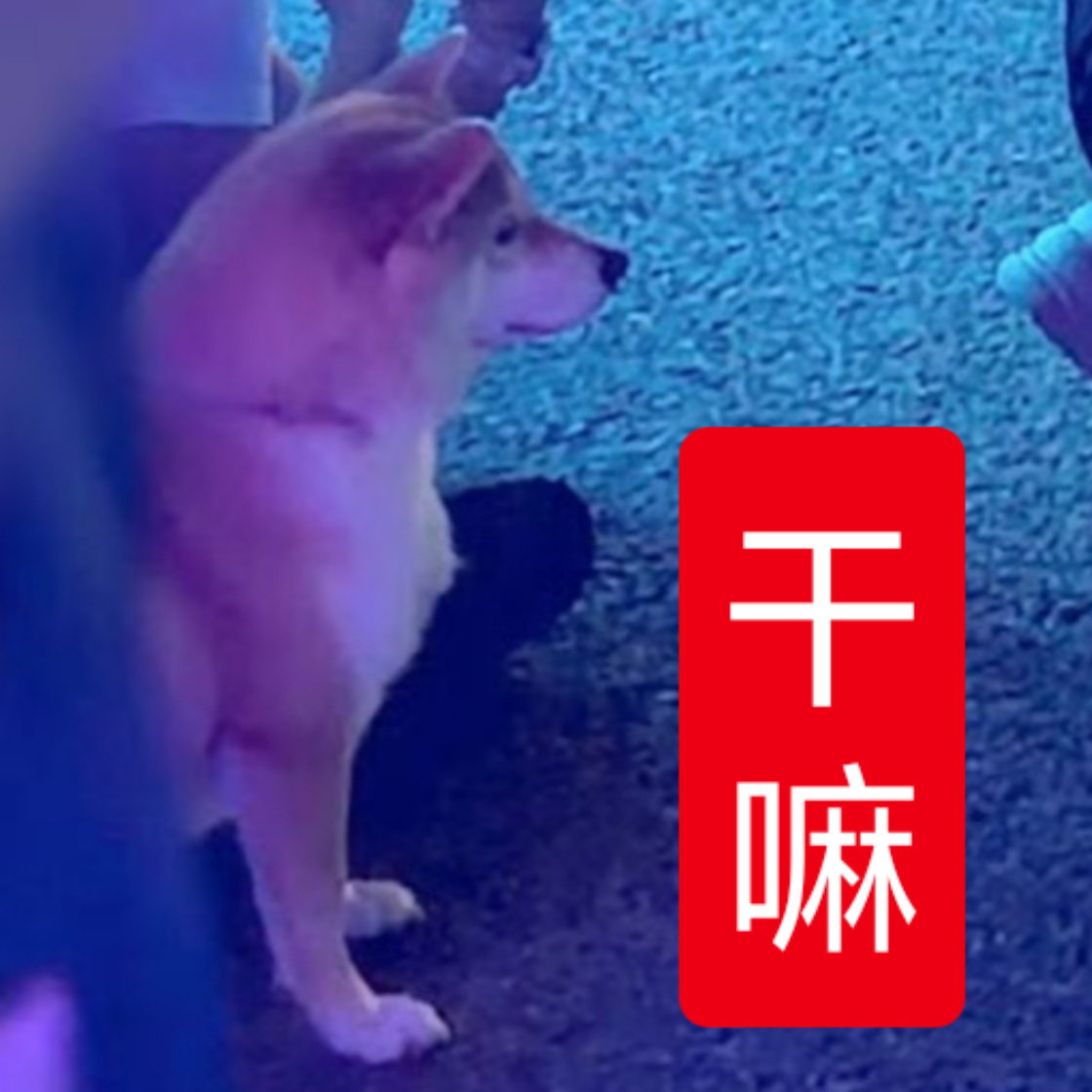 俩大姐有一种拿到双人曲就万事大吉的朴素感吭哧吭哧在无人看见的角落给自己练爽唱爽了