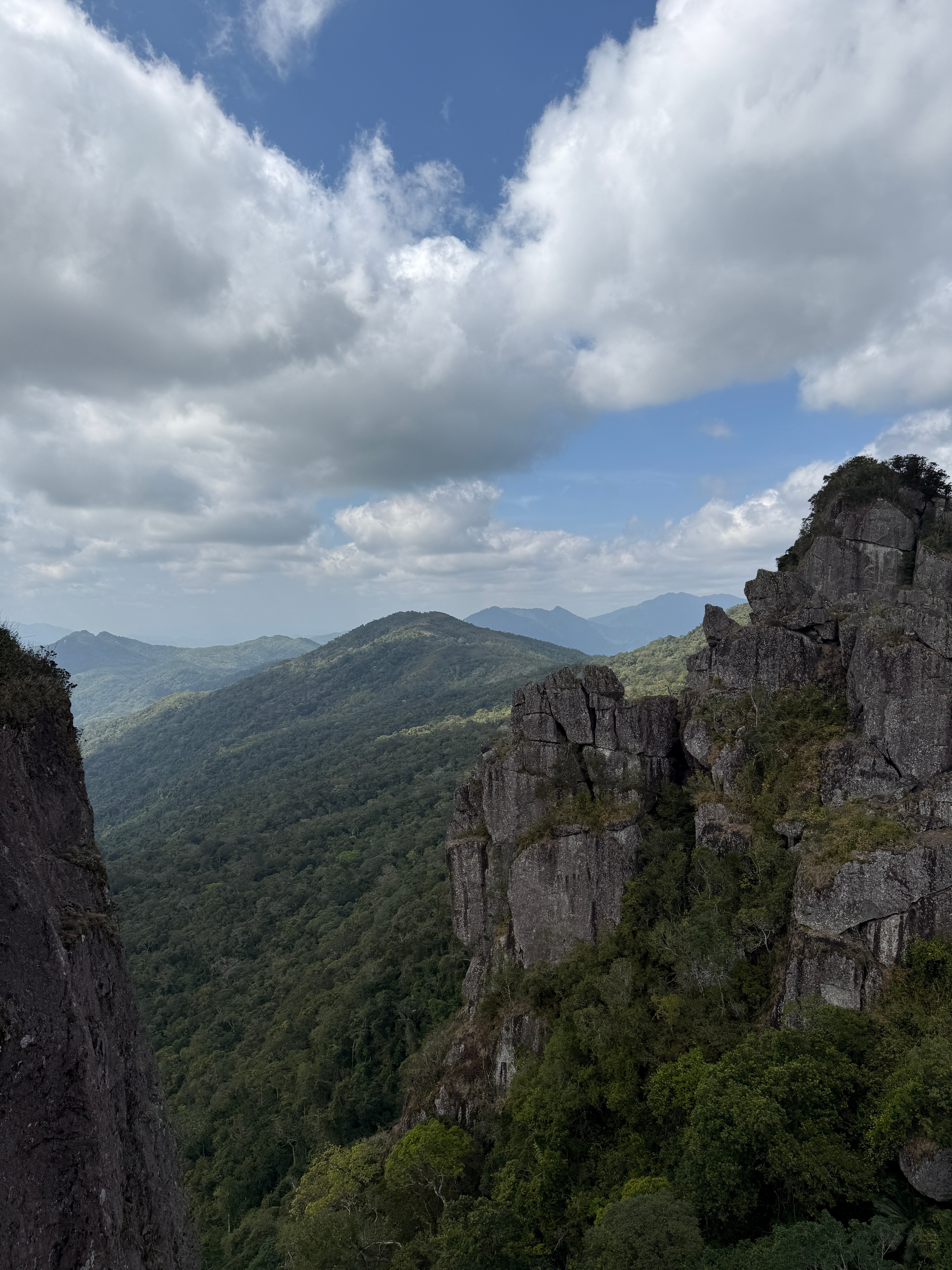 天然氧吧的氧气已经被我吸完了 太累了