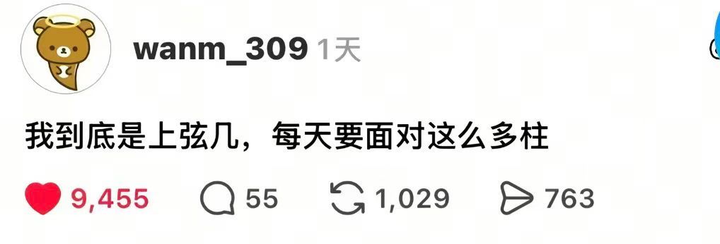 这社区🍬完了 