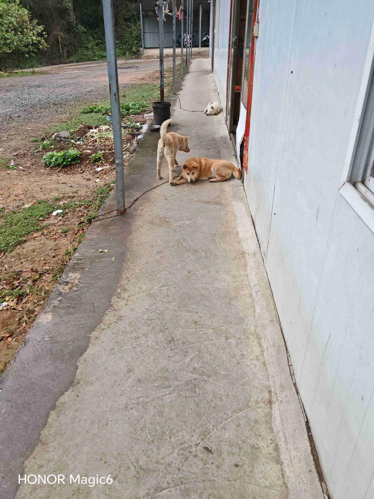 我的今日状态：😁轻松愉快
我这里的天气：小雨