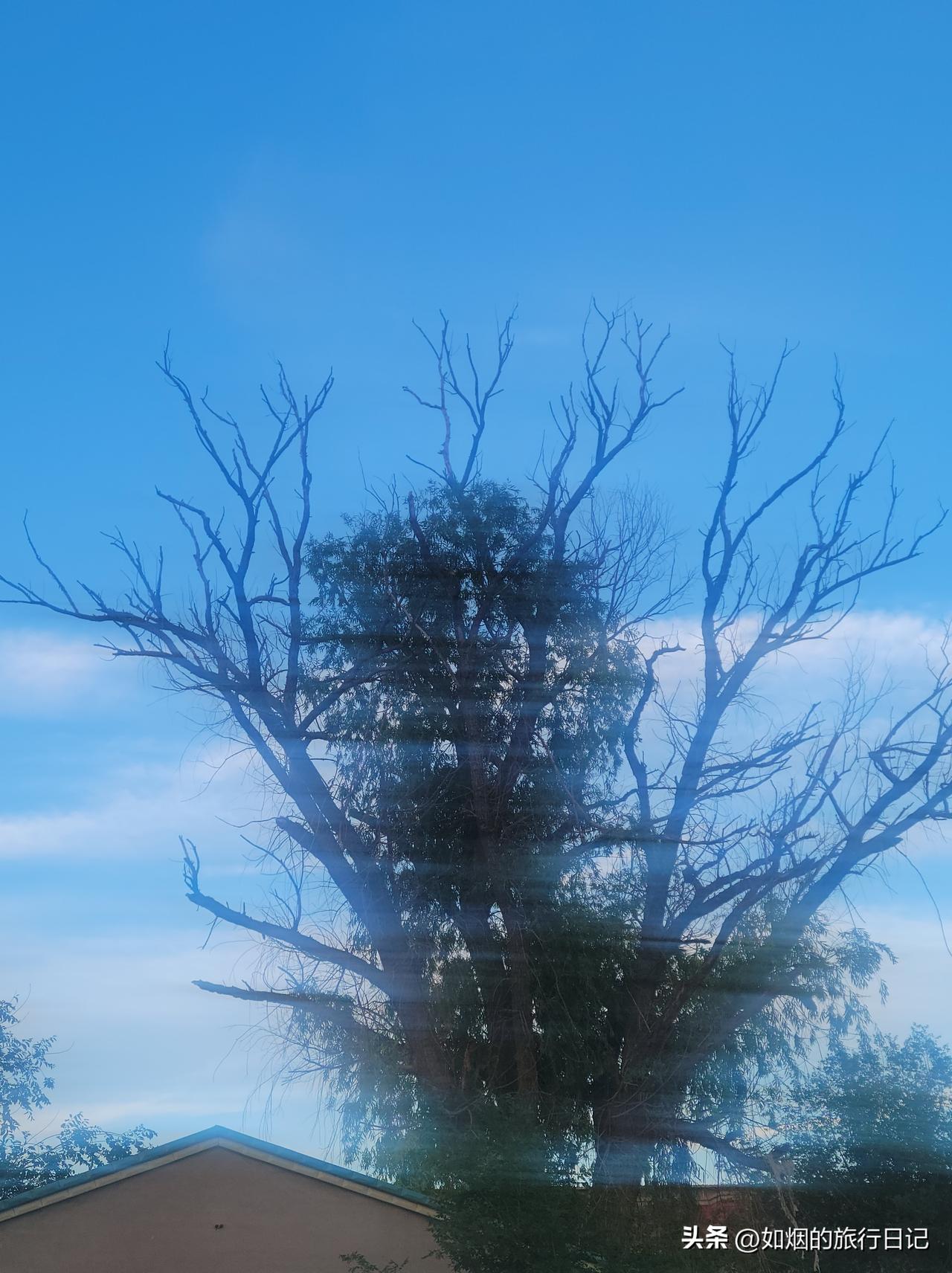东北城市沈阳还是挺不错的，我儿子前段时间就跟我说过，他心心念念的延吉，如今沈阳临