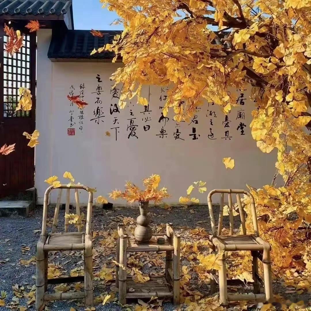 不要说来日方长 ，你看暮然回首已是秋。 ​​​