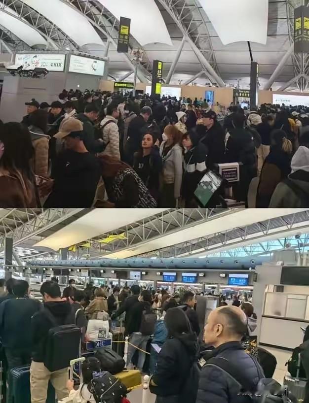 我就纳闷了，
​中日关系如此紧张！
​为什么只有中国人纷纷从日本回国，然而却不见