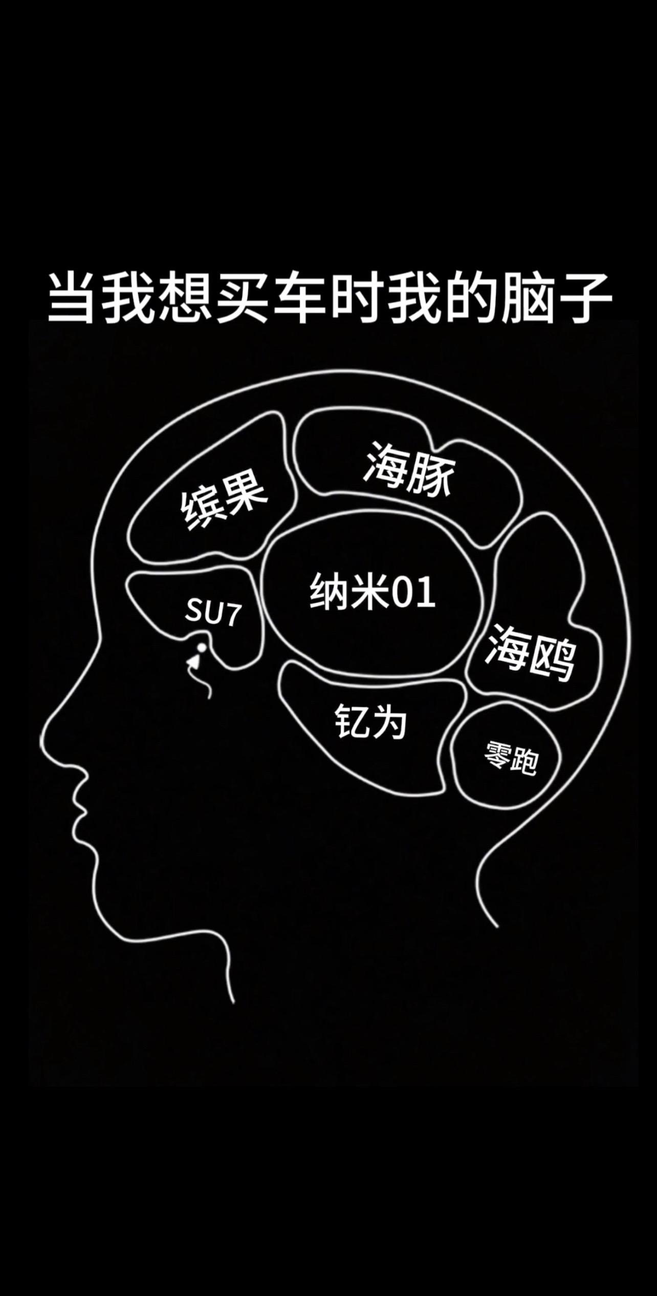 坦白了，这就是买车前我脑子里想的，缤果，海鸥，零跑，海豚，纳米01，小...