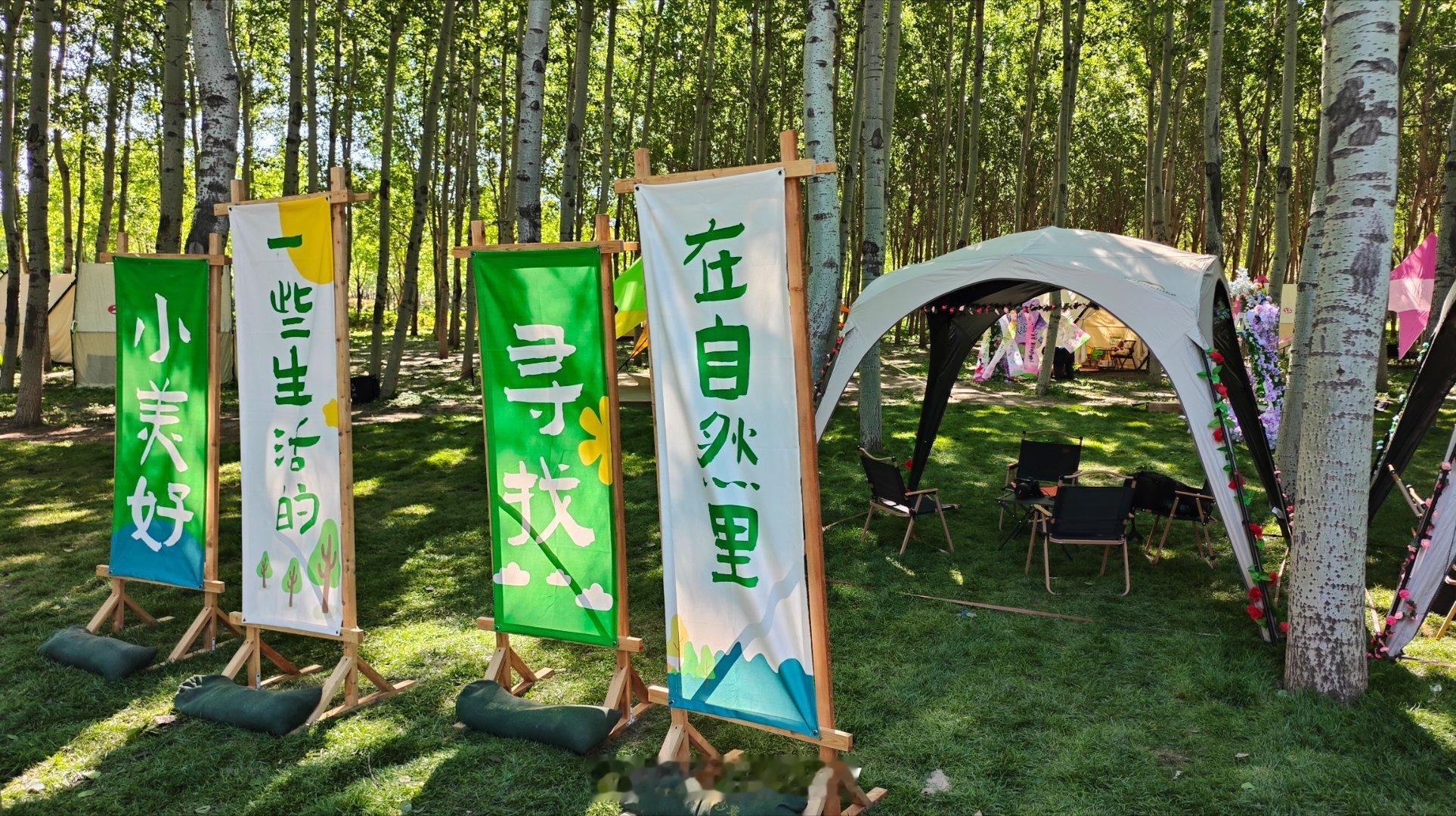 来通州运河牡丹园看看，这儿真适合踏青运河上的通州 北京·运河牡丹园