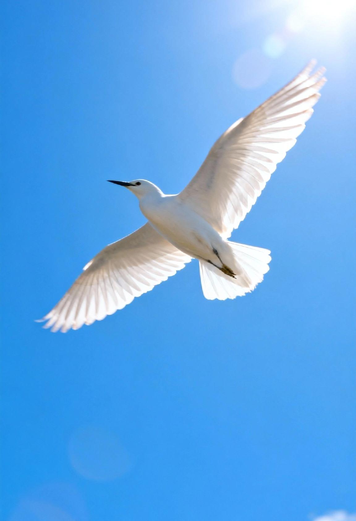 要自由
就要有3个底气
第一点，
要有钱，
现在这个社会，你做什么都是要钱的，