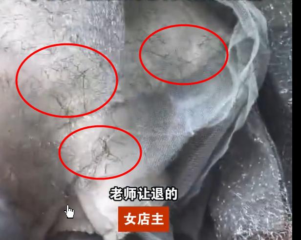 这件事情闹大了！辽阳辽美中等技术学院，如此薅羊毛，太不厚道！

这做法也太让人气