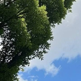 顺境的美德是节制，逆境的美德是坚忍，这后一种是较为伟大的德行。善良是弱者最好的挡