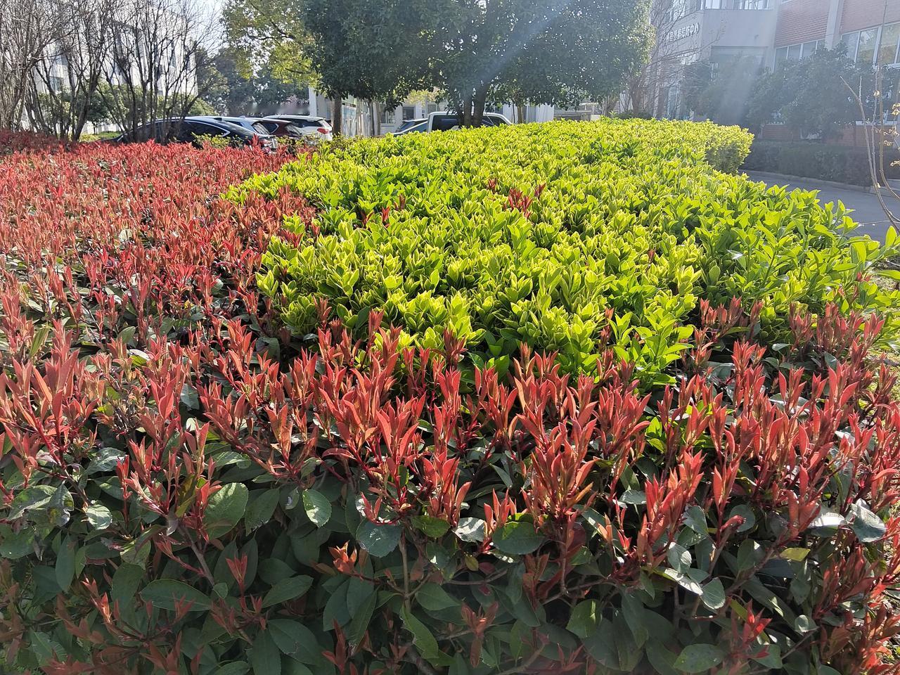 你家的洗衣机用来洗过鞋子吗?

我家的洗衣机从来都没有洗过鞋子，因为洗衣机洗衣机